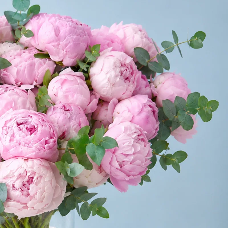 rosy-peonies-in-vase_02 rosy peonies in vase 02