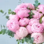 Pink Peonies in Vase 3 rosy-peonies-in-vase_03