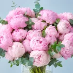 Pink Peonies in Vase 4 rosy-peonies-in-vase_04