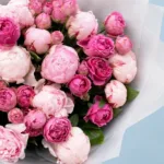 The Dual Shade Peonies 2 the-dual-shade-peonies_02