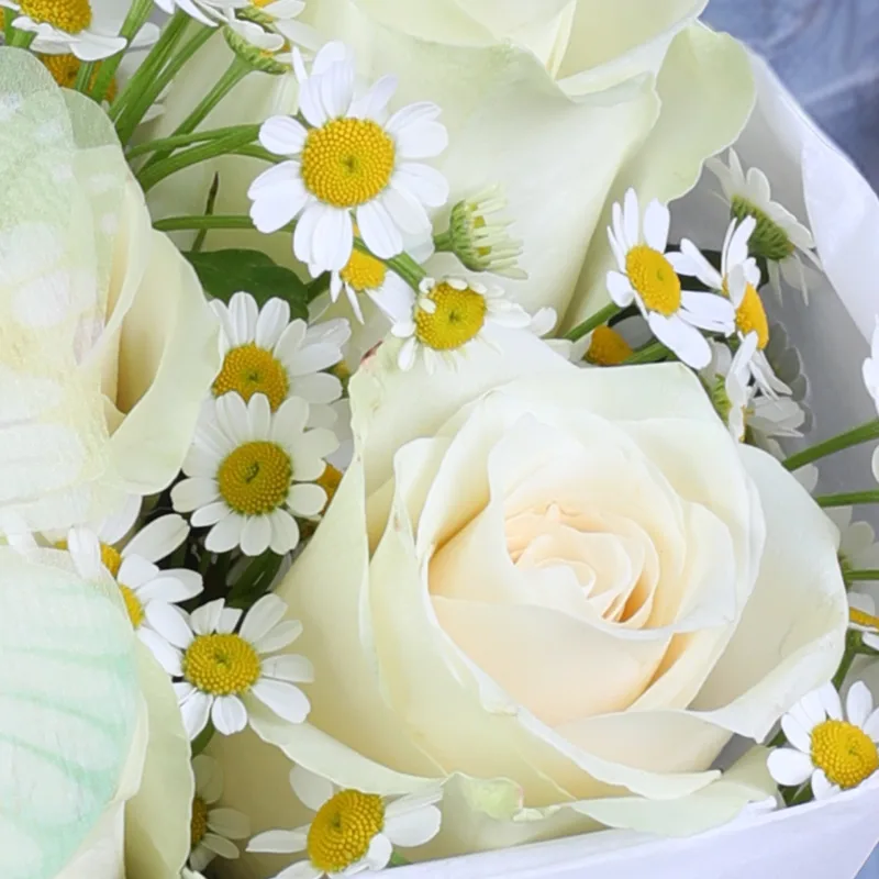 white rose butterfly serenity box 04