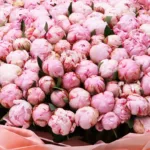 grand-pink-peony-bouquet_04