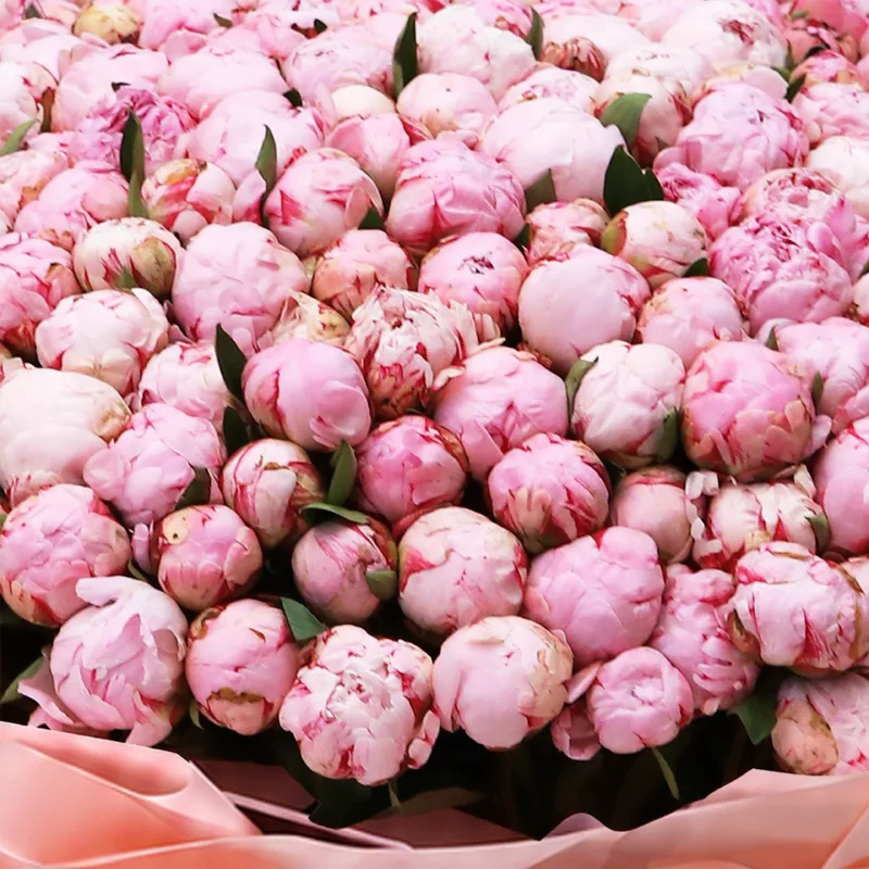 grand pink peony bouquet 04