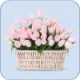 flower basket icon