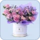 flower boxes icon