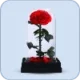 forever rose icon