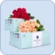 wholesale flowers icon